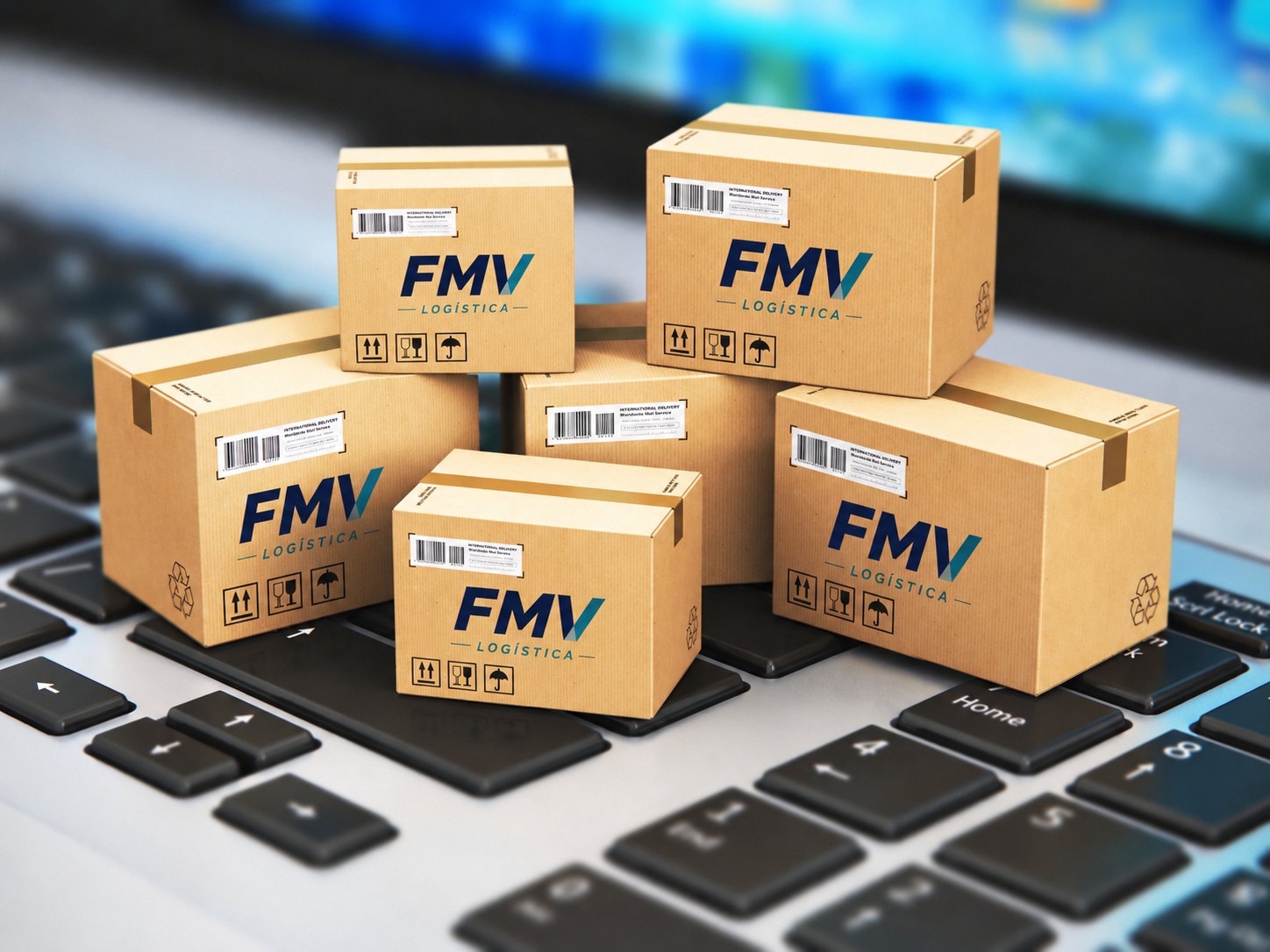Paquetes FMV Logistica para ecommerce